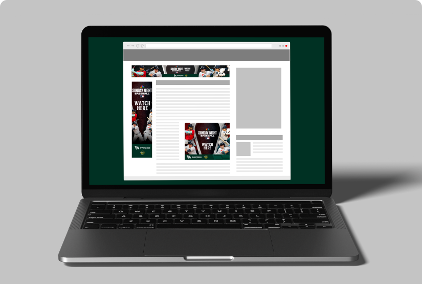 Web Banners - SNB