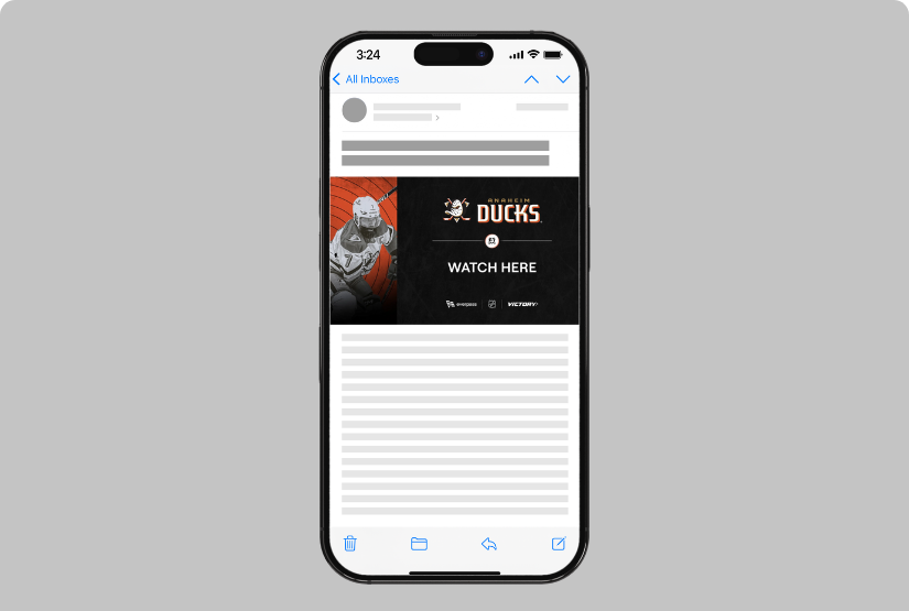 Email - V+ Ducks