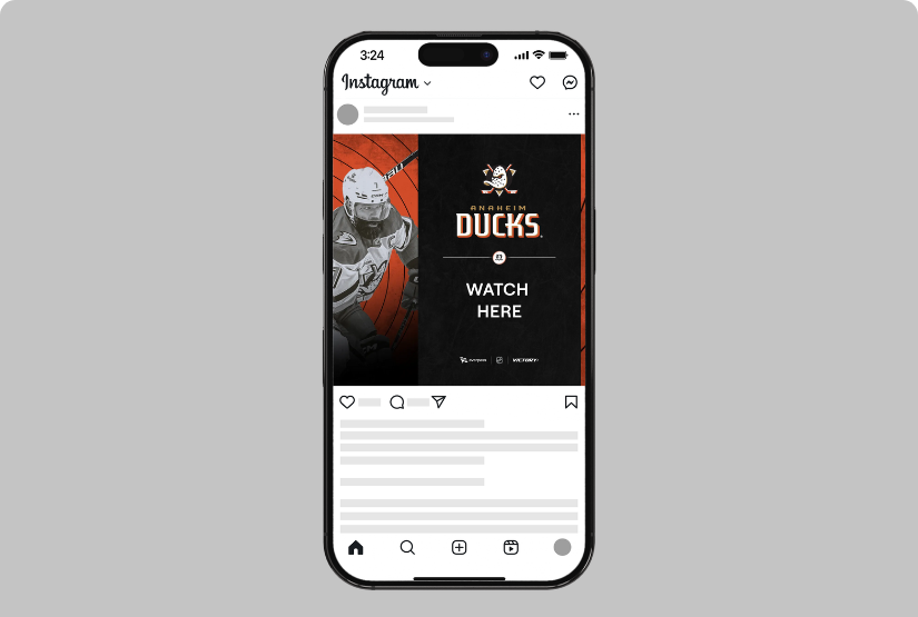 Social Media - V+ Ducks