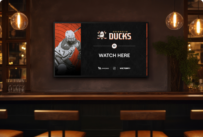 TV - V+ Ducks